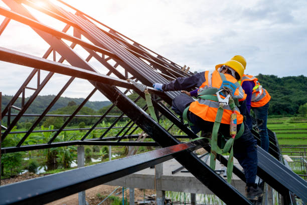 Best Roof Waterproofing Services  in Swisher, IA