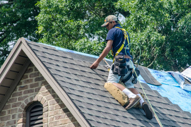 Best Roof Waterproofing Services  in Swisher, IA